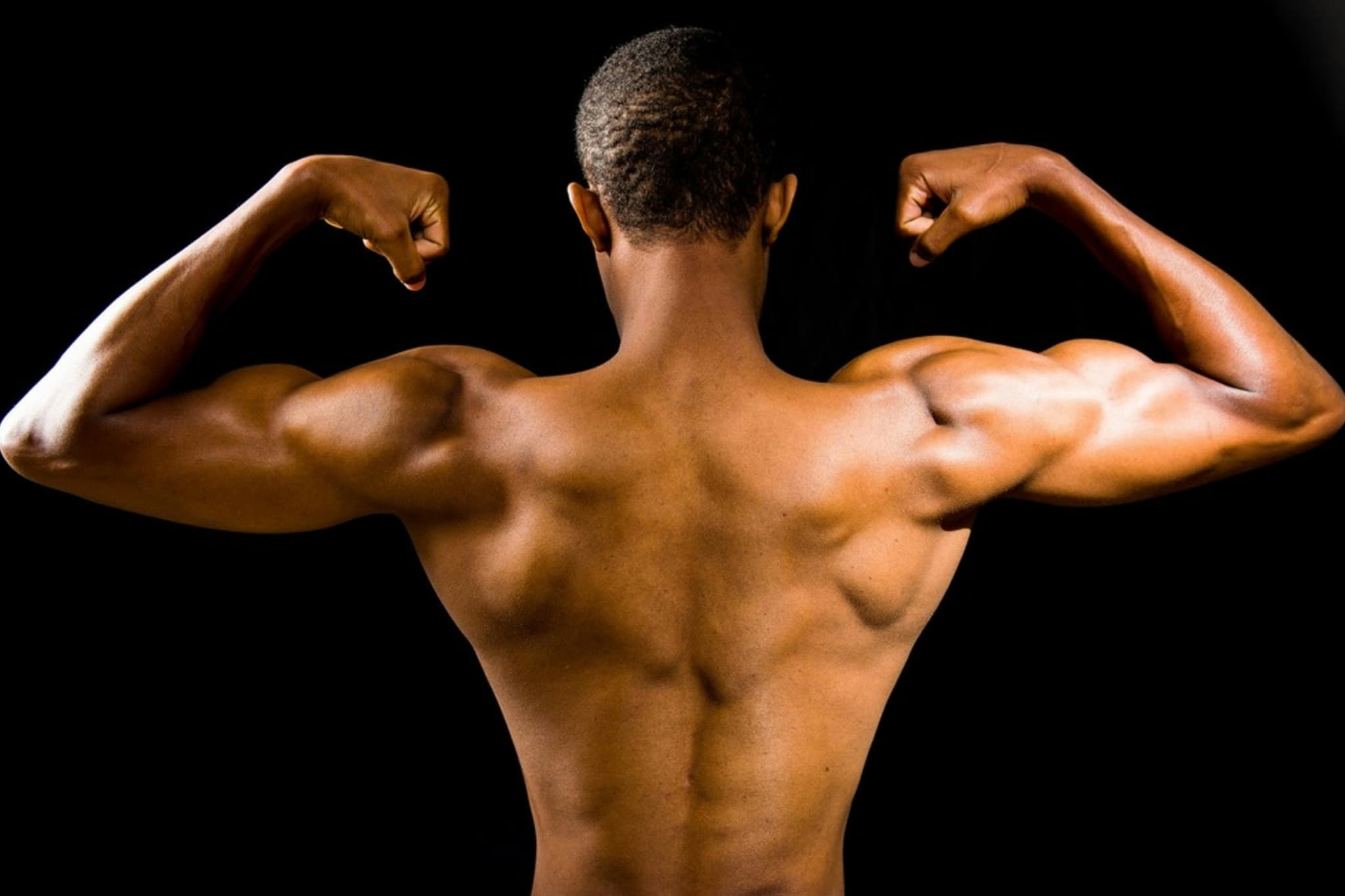 back-muscles