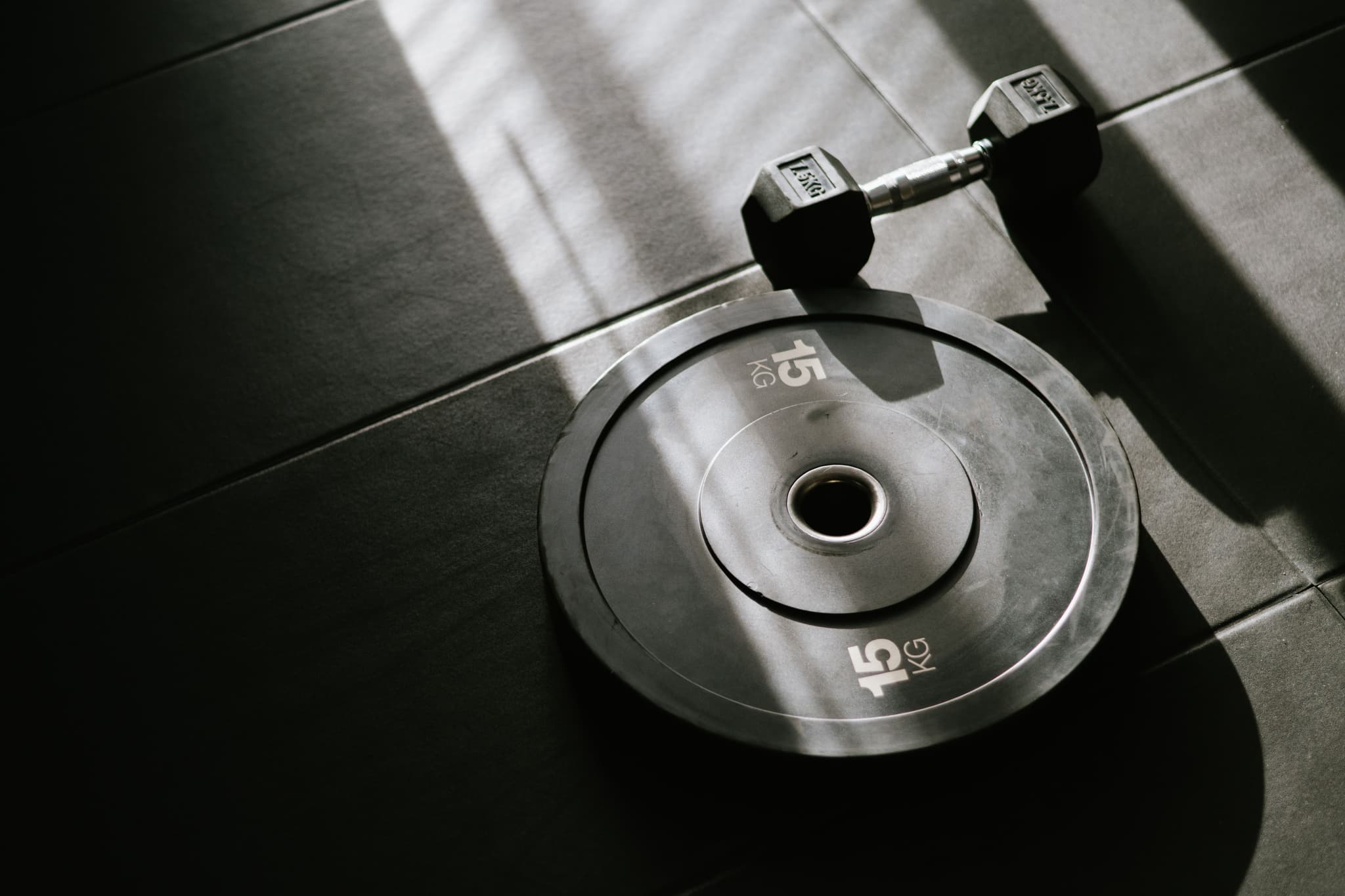 regular-weights-picture
